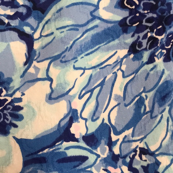 Lilly Pulitzer Blue Floral Skinny Pants - Picture 11 of 16